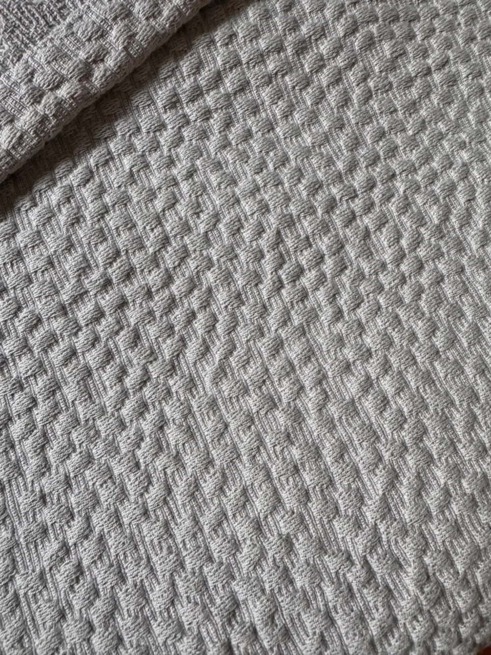 Crate and Barrel Pebble Shower Curtain
